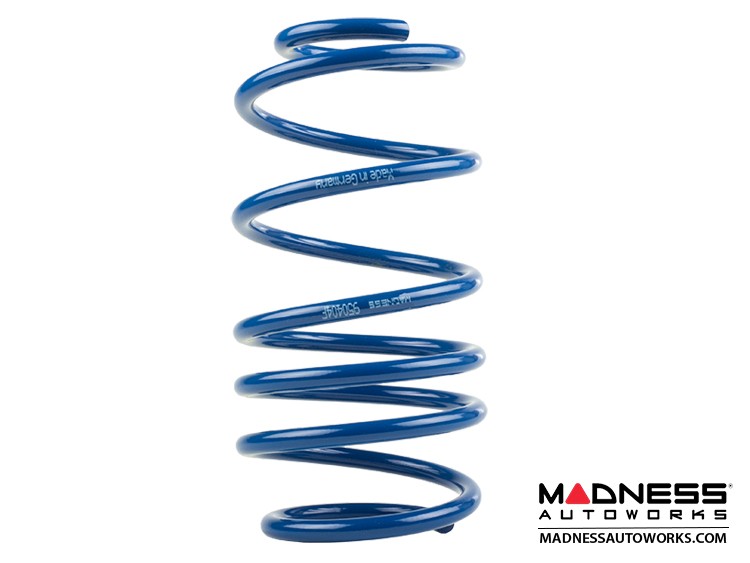 smart fortwo Lowering Spring Set 451 model MADNESS
